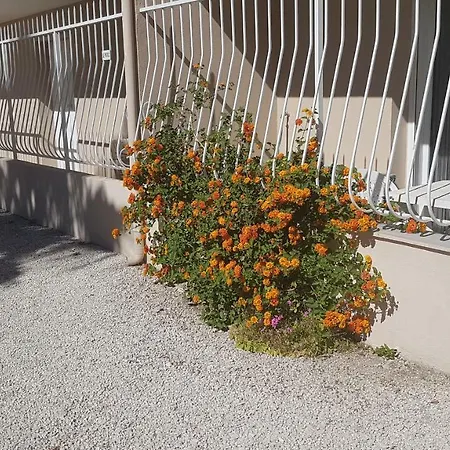 Le Patiot 2